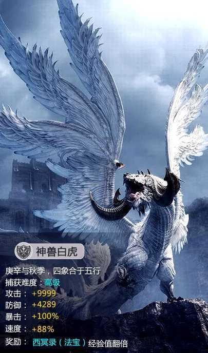 沉睡之间